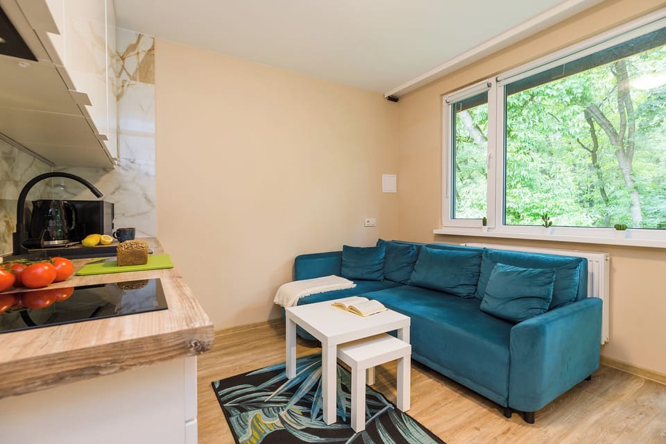 Classic Apartment, Park View | 1 bedroom, blackout drapes, iron/ironing board, free WiFi