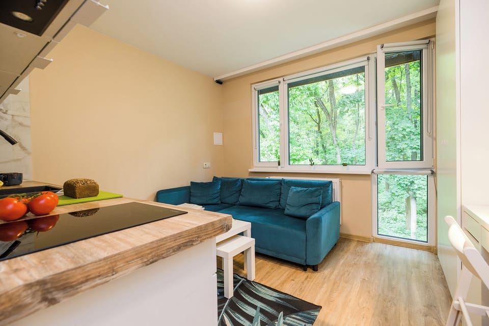 Classic Apartment, Park View | 1 bedroom, blackout drapes, iron/ironing board, free WiFi