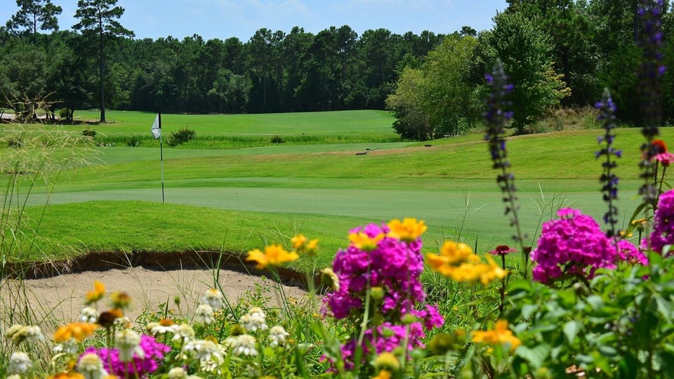Condo, 2 Bedrooms | Golf