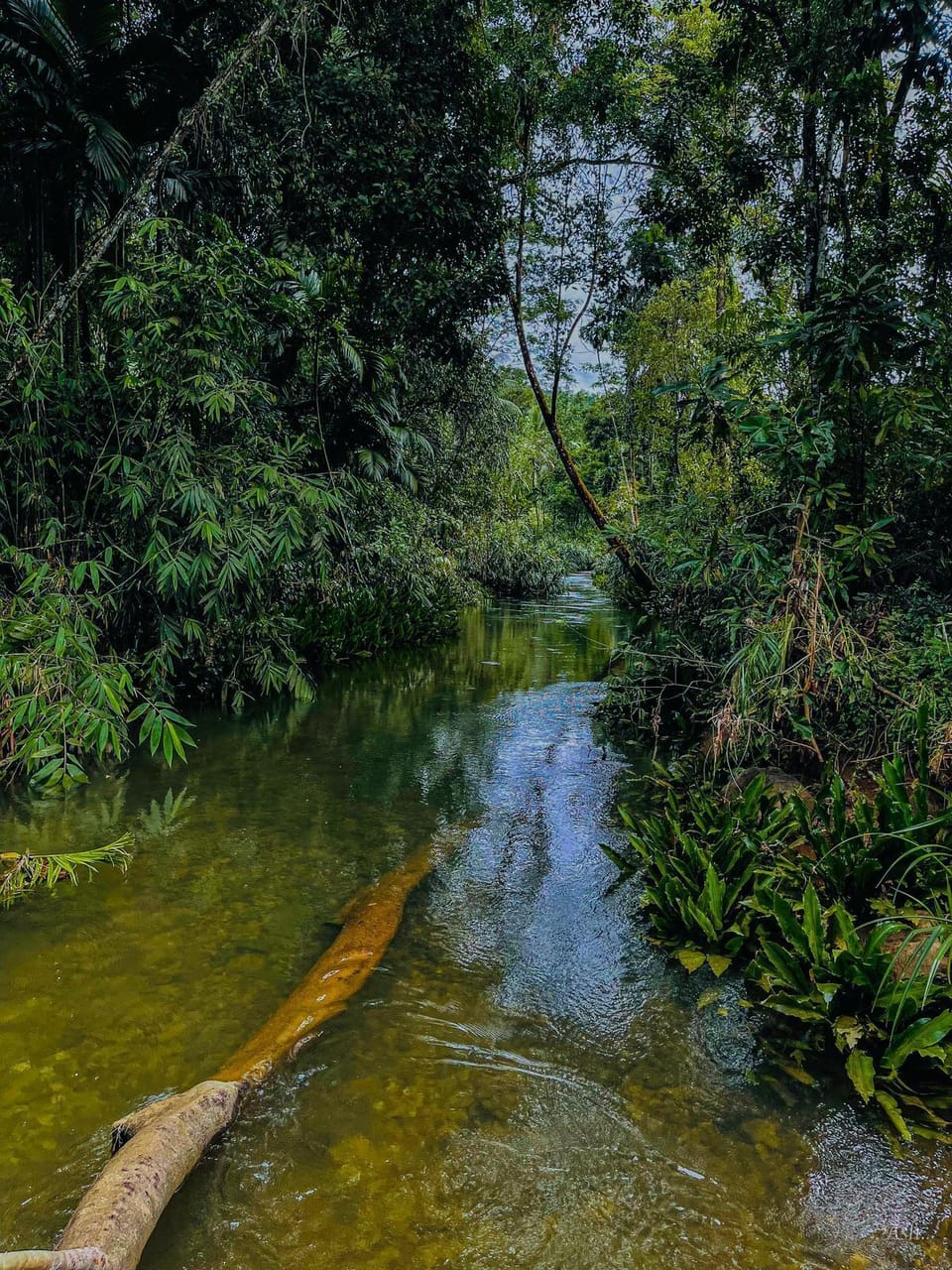 Ecotours