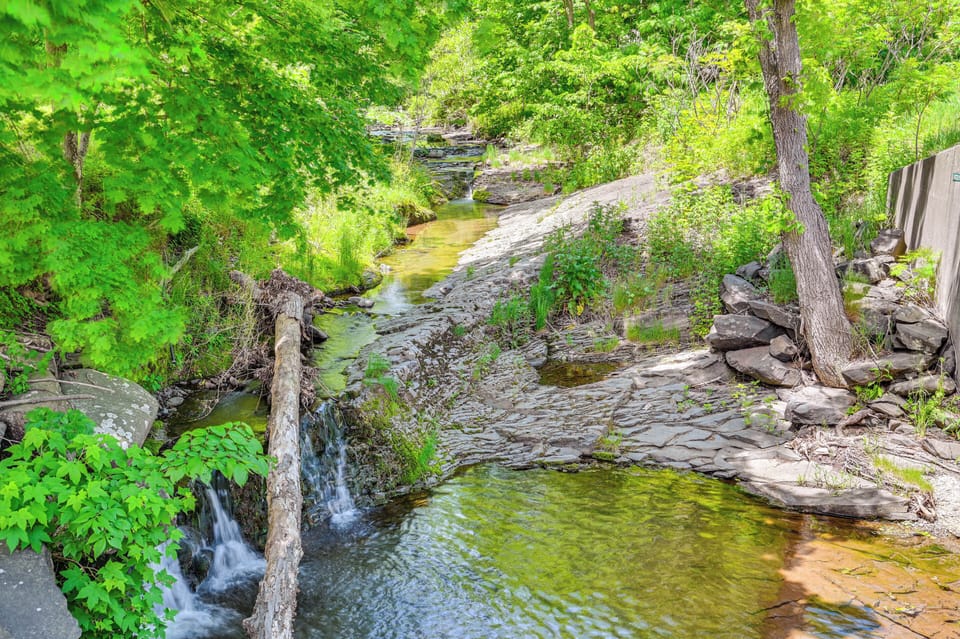 Creek Nearby