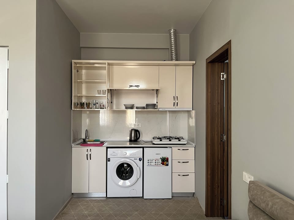 Basic Double or Twin Room, Mountain View | Private kitchen | Mini-fridge, oven, dishwasher, electric kettle