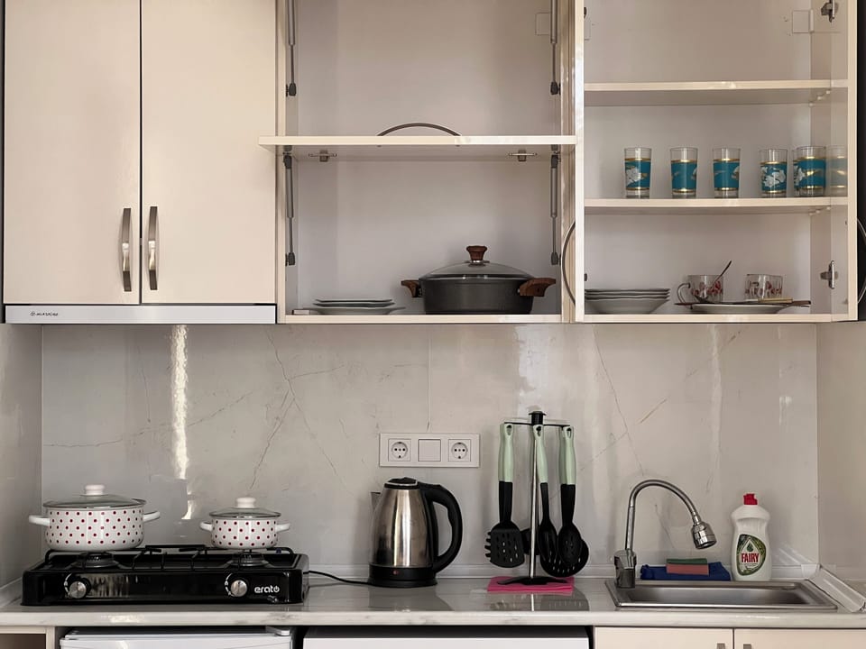 Basic Double or Twin Room, Sea View | Private kitchen | Mini-fridge, oven, dishwasher, electric kettle