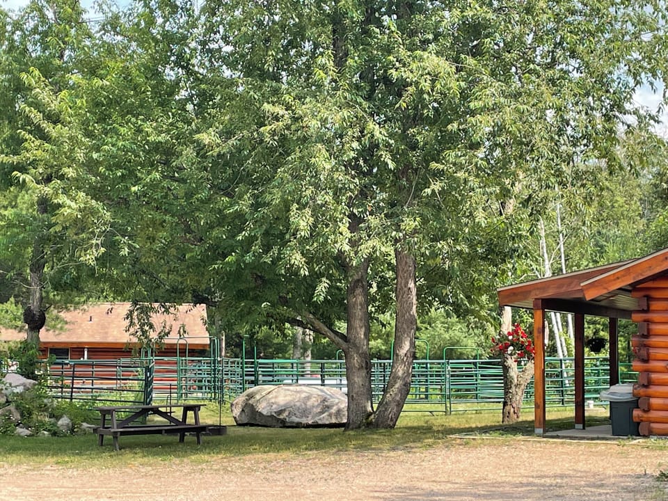 Ash Cabin