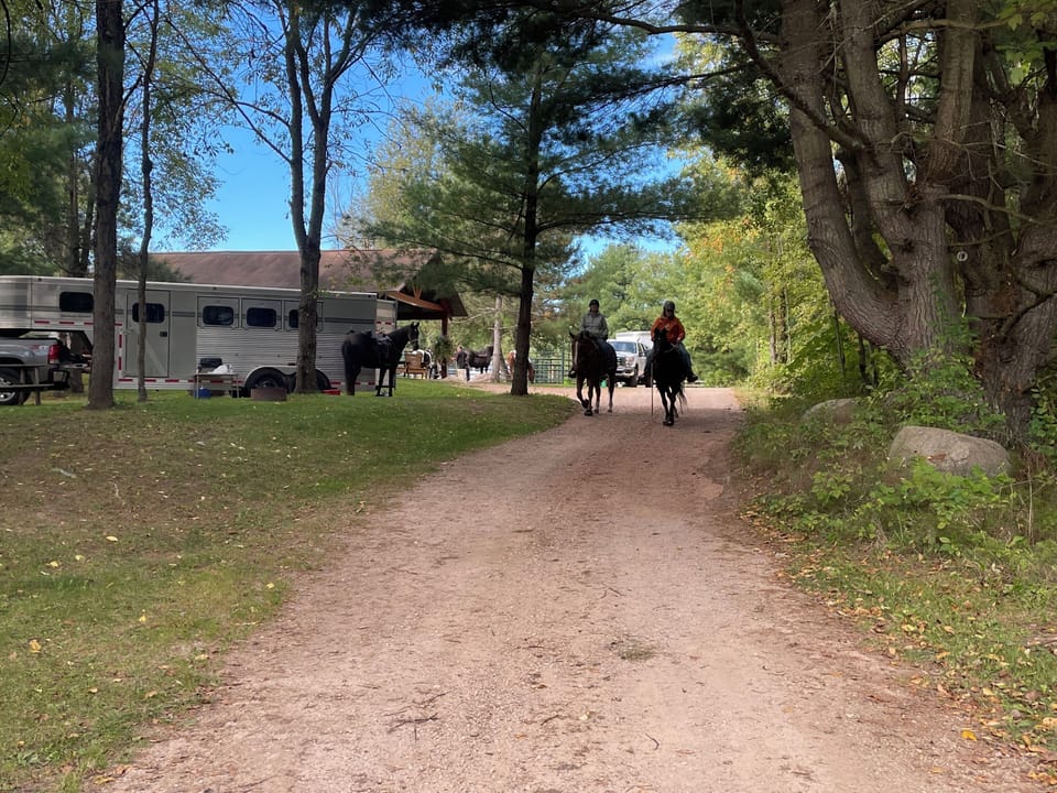 The Ranch Drive

The Ranch sits right on the Nicolet State Trail with direct trail access.  It is perfect for ATV, UTV, & horse owners to enjoy the entire National Forest.  Pictured here are horses heading out for a morning ride.  Park your vehicle at the Ranch and ride out just as these ladies are doing!