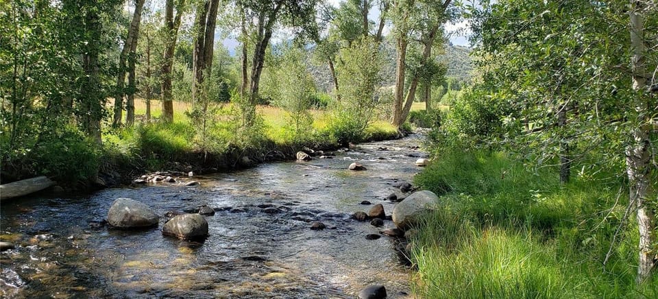 300' of private river access in gold medal fishing waters.  Bring your fishing pole!