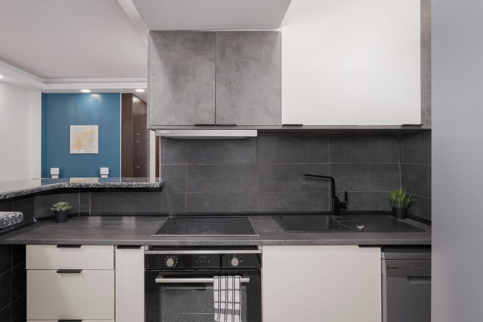 Luxury Apartment | Private kitchen | Fridge, oven, stovetop, dishwasher