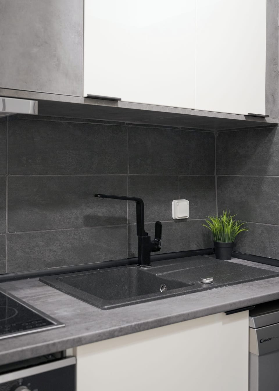 Luxury Apartment | Private kitchen | Fridge, oven, stovetop, dishwasher