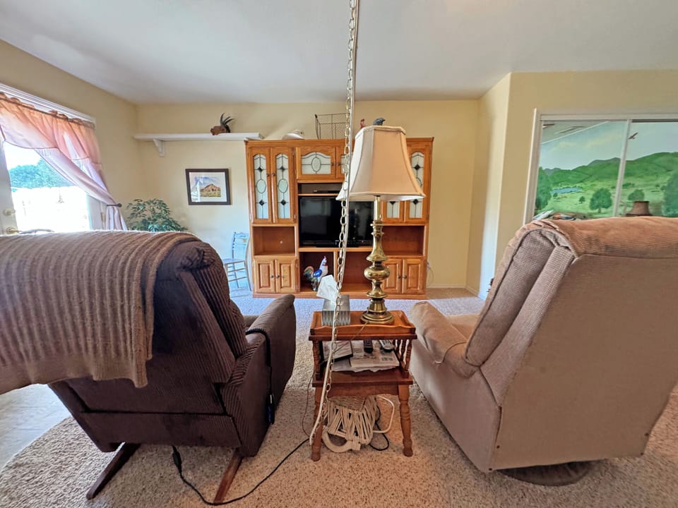 Two recliners