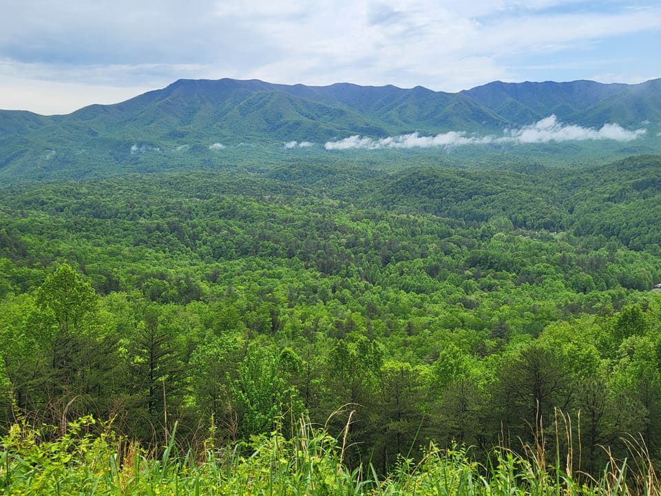 Foothills Overlook
