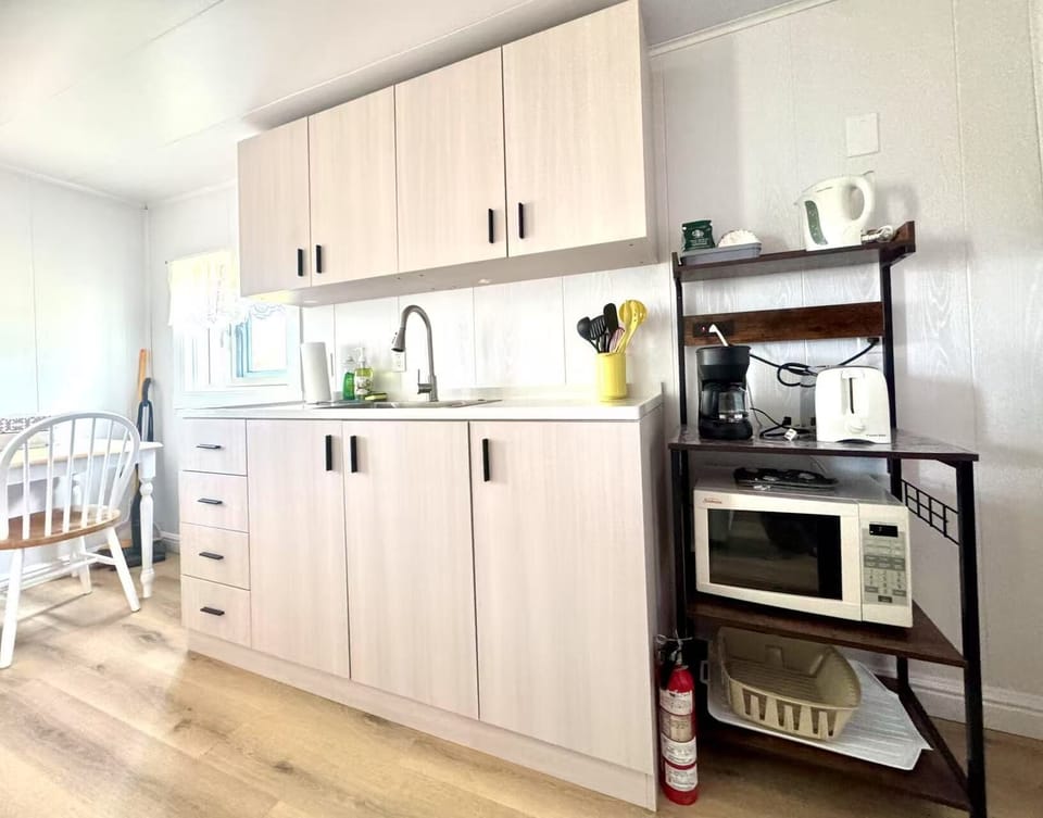 Economy House | Private kitchen | Full-size fridge, microwave, oven, stovetop
