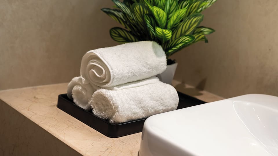 Shower, rainfall showerhead, free toiletries, hair dryer