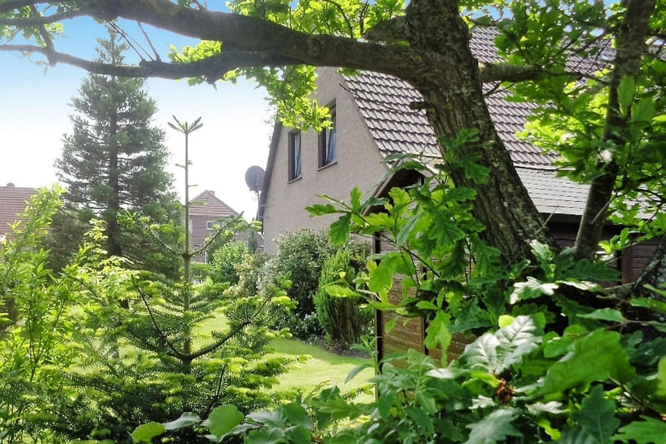 Garden [summer]