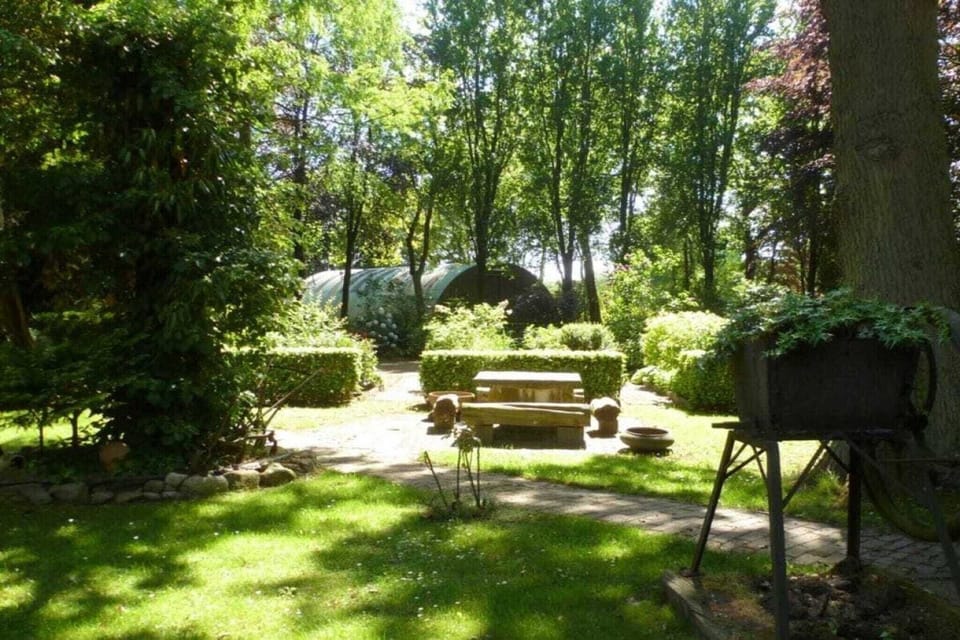 Garden [summer]