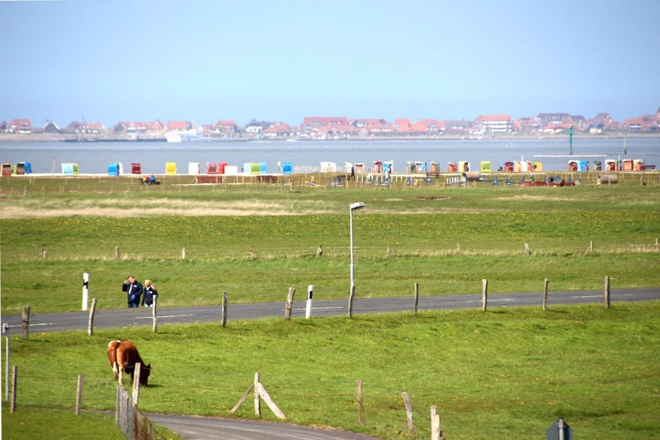 Surroundings [summer] (1-5 km)
