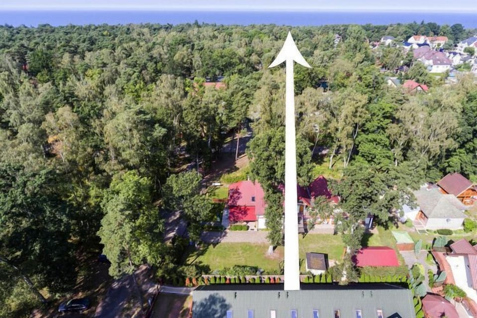 Garden [summer]