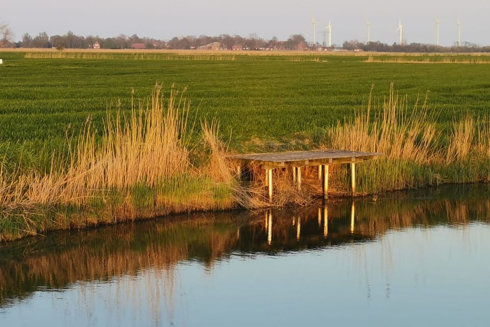 Immediate Surroundings [summer] (<1 km)