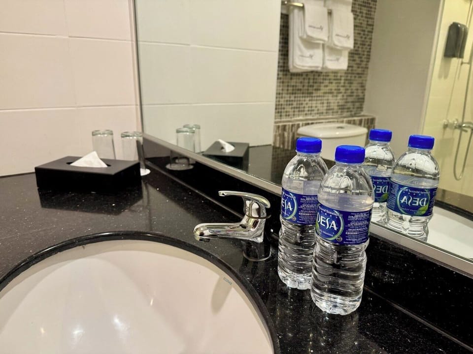 Free toiletries, hair dryer, slippers, bidet
