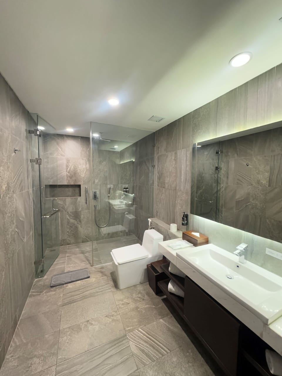 Premium Room, City View | Bathroom | Shower, rainfall showerhead, bidet, towels