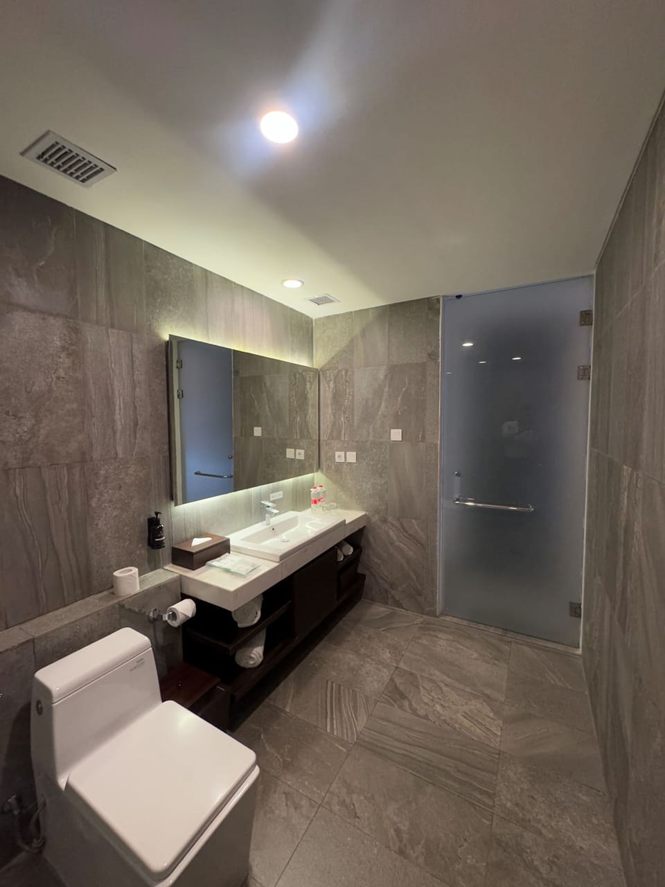 Premium Room, City View | Bathroom | Shower, rainfall showerhead, bidet, towels