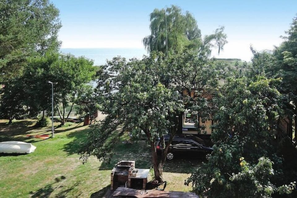 Garden [summer]