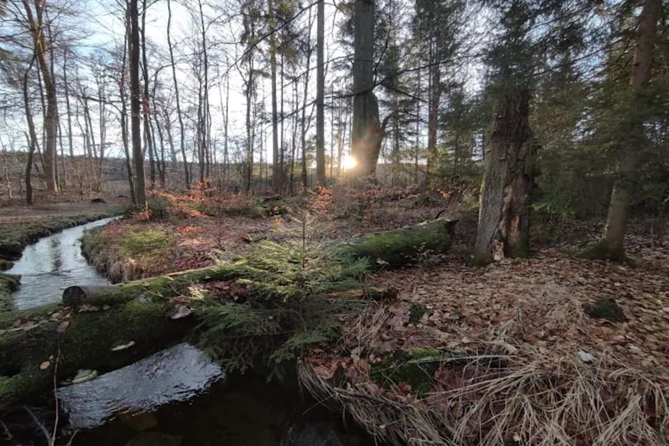 Surroundings [summer] (1-5 km)