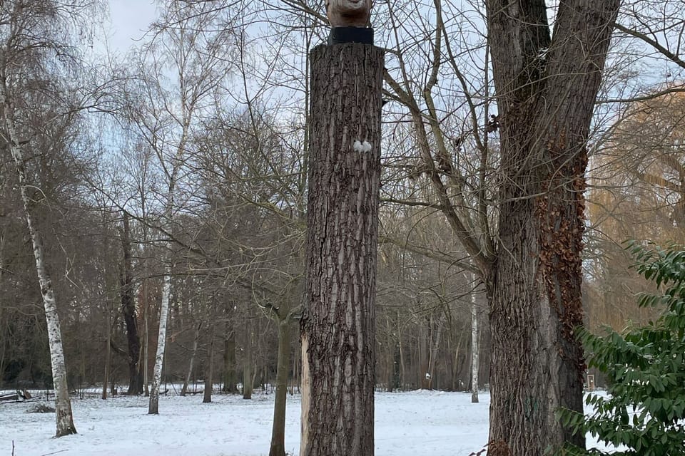 Immediate Surroundings [winter] (<1 km)