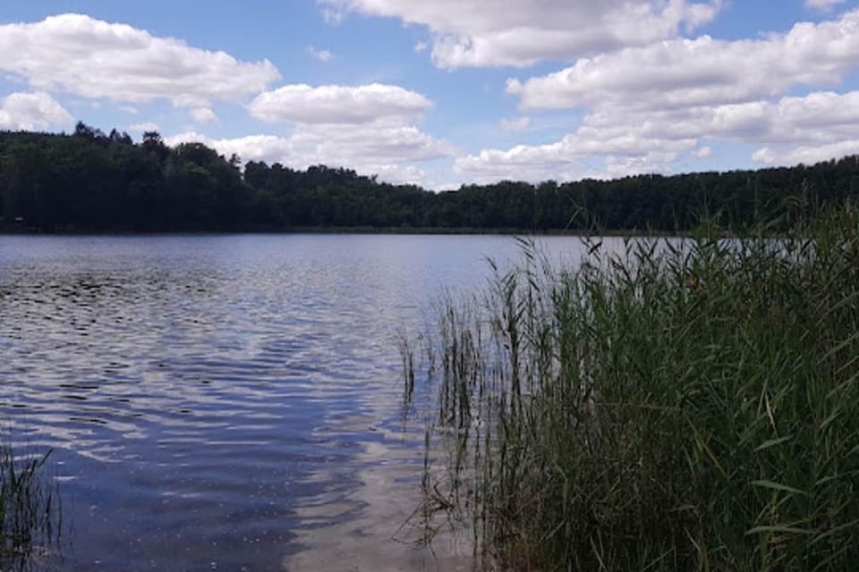Region [summer] (>5 km)