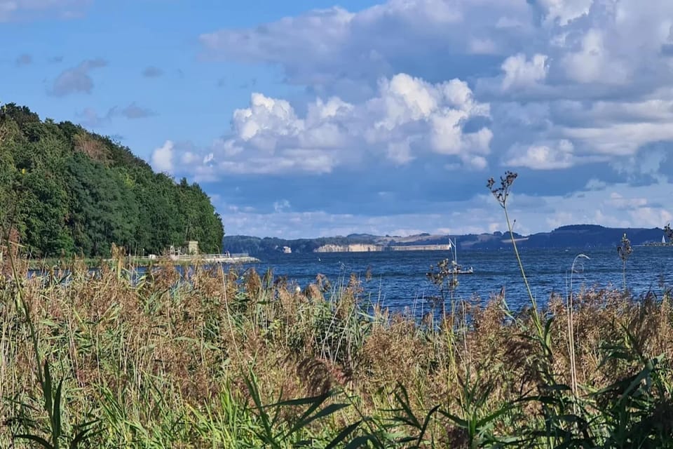 Surroundings [summer] (1-5 km)