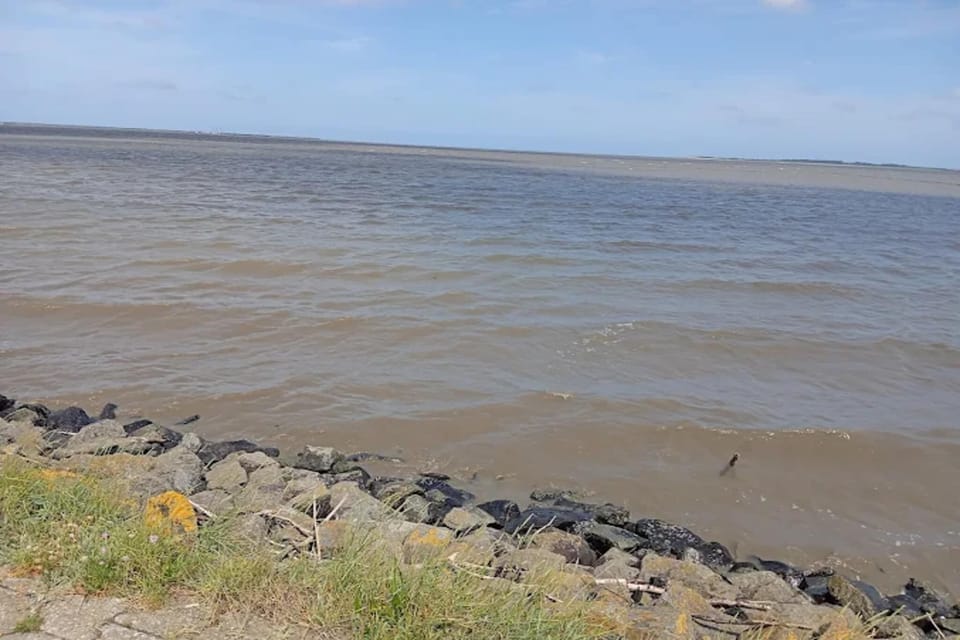 Immediate Surroundings [summer] (<1 km)