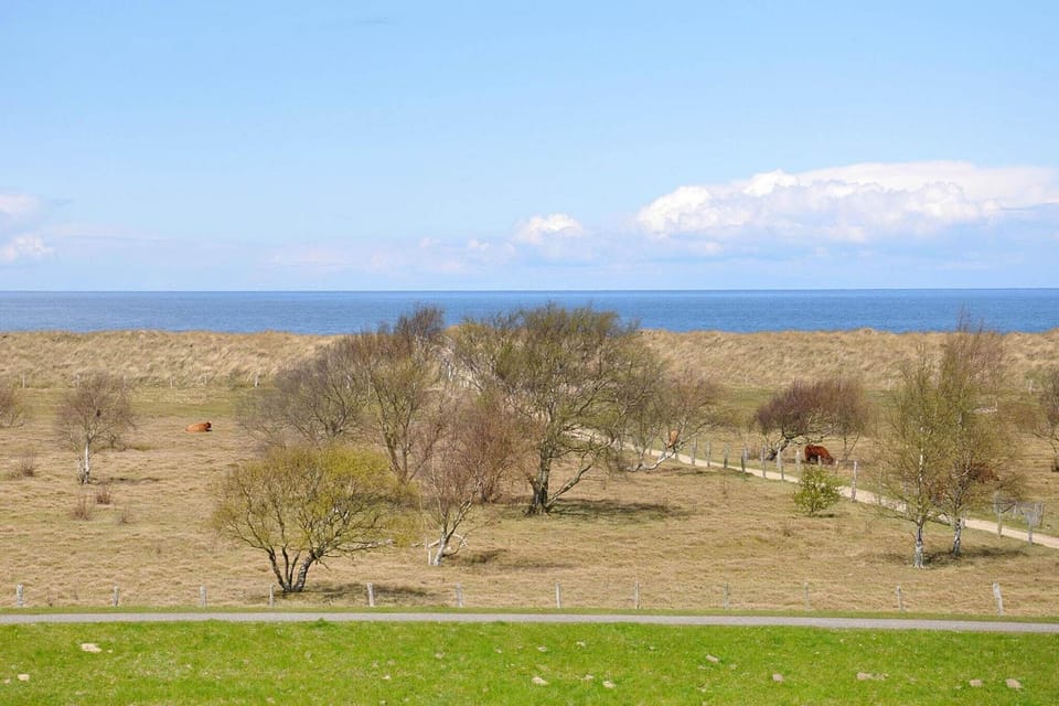 Immediate Surroundings [summer] (<1 km)