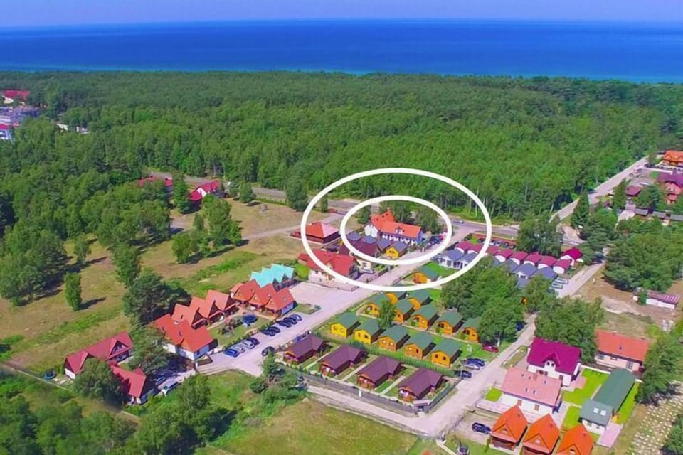 Garden [summer]