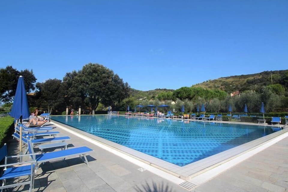 Holiday Home Swimming Pool