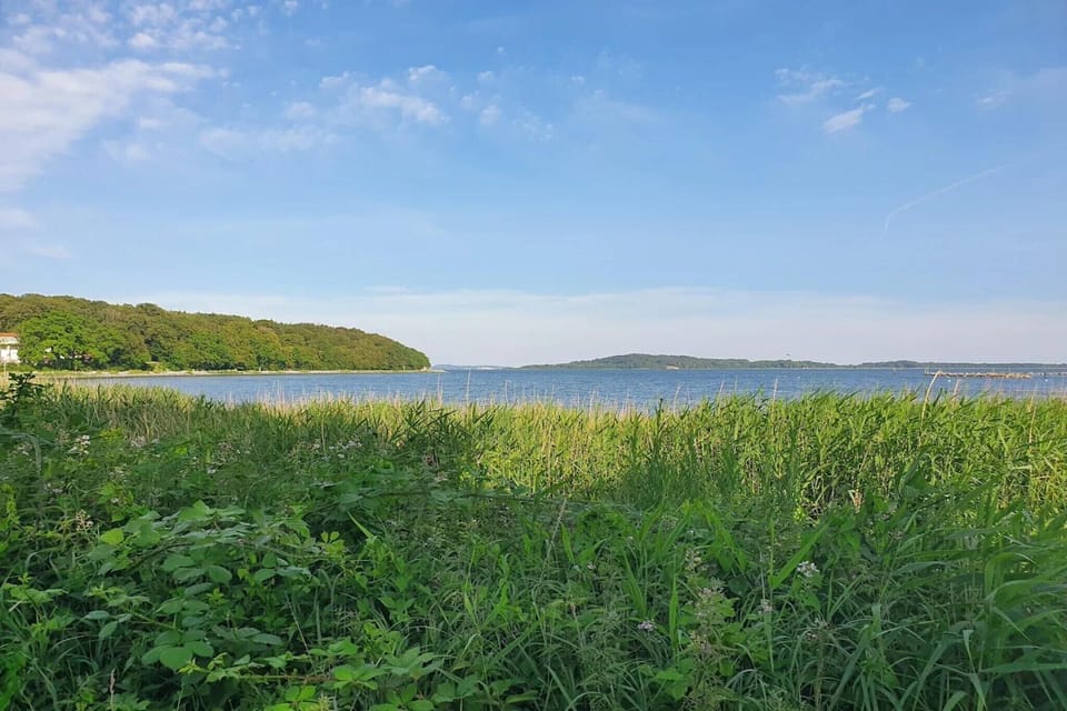 Surroundings [summer] (1-5 km)