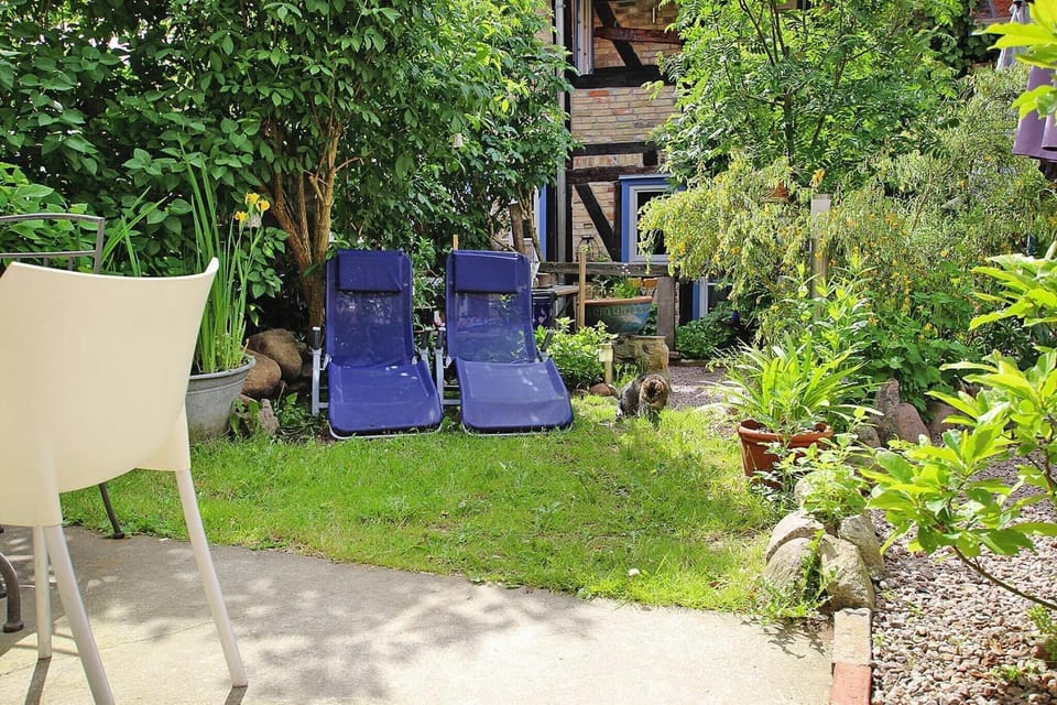 Garden [summer]