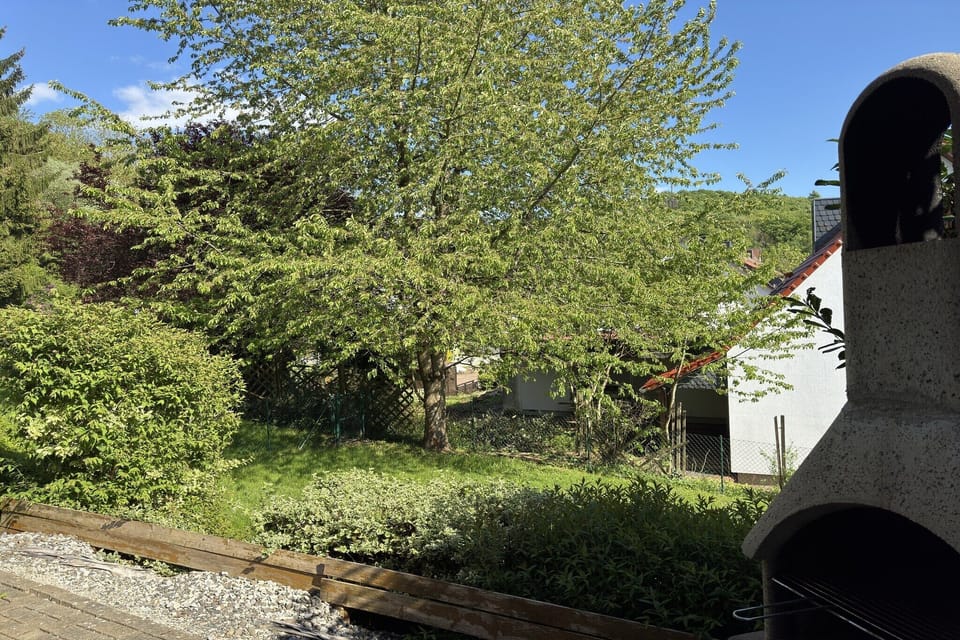 Garden [summer]