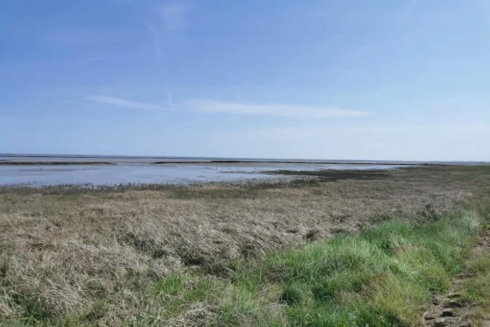 Surroundings [summer] (1-5 km)