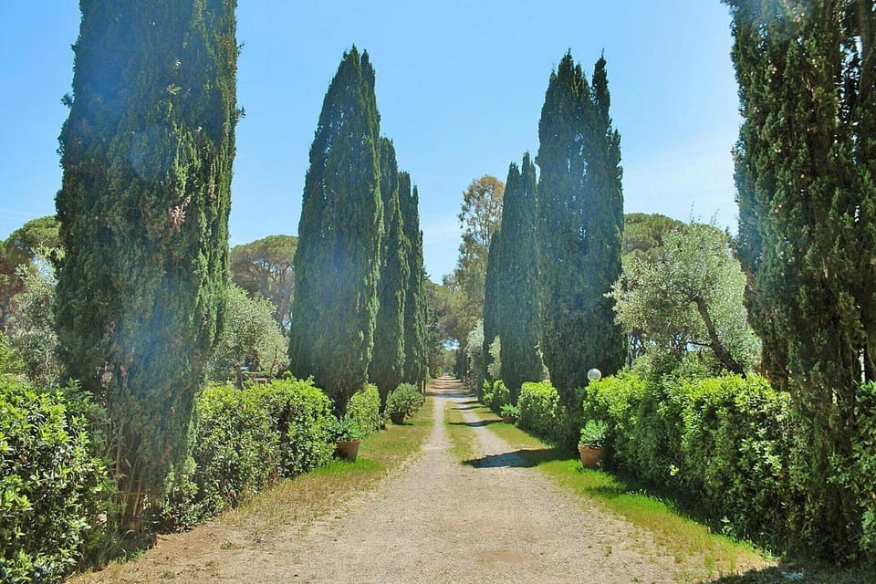Immediate Surroundings [summer] (<1 km)