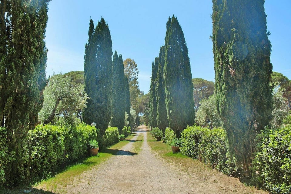 Immediate Surroundings [summer] (<1 km)