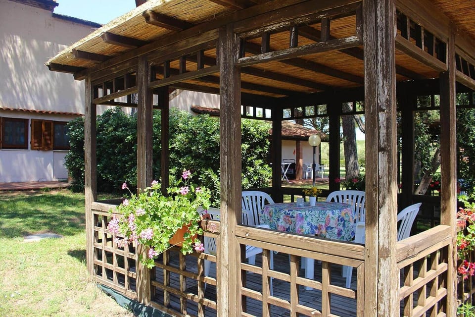 Garden [summer]