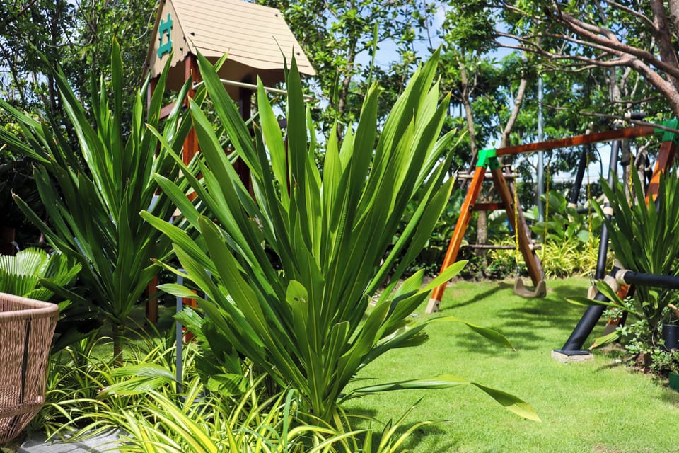 Children's play area - outdoor