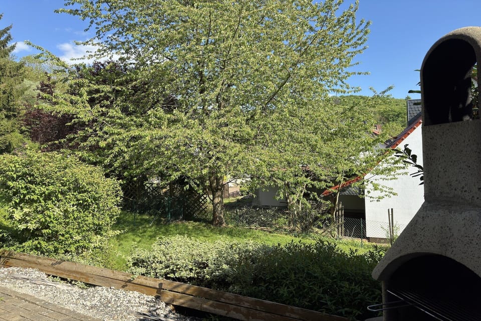 Garden [summer]