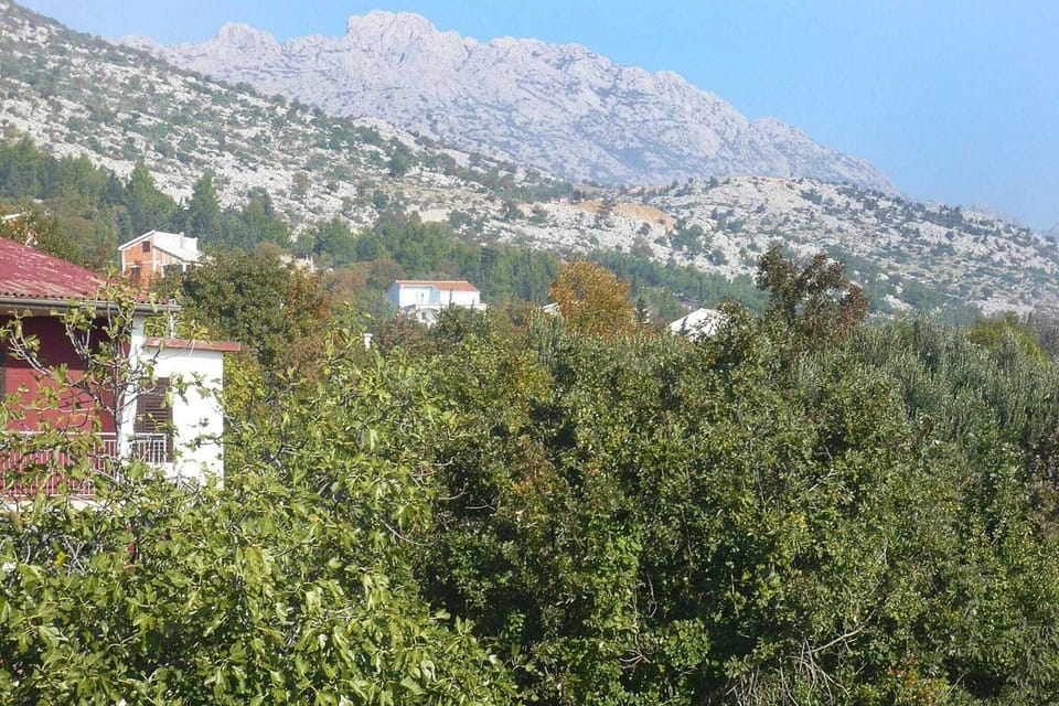View from Holiday Home [summer]