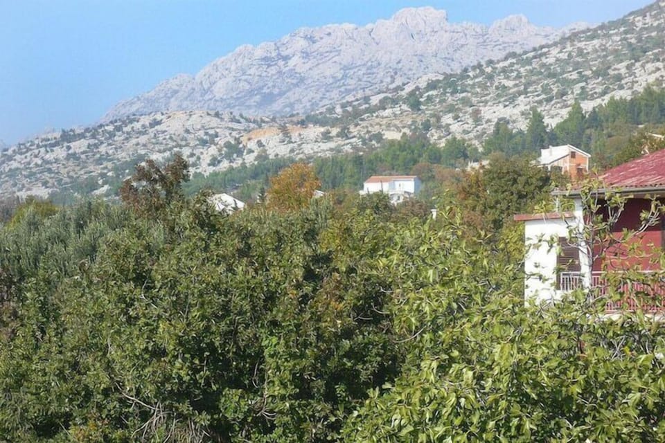 View from Holiday Home [summer]