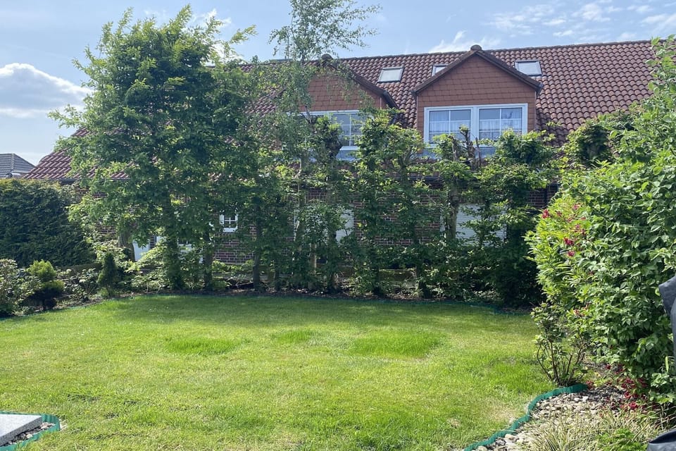 Garden [summer]