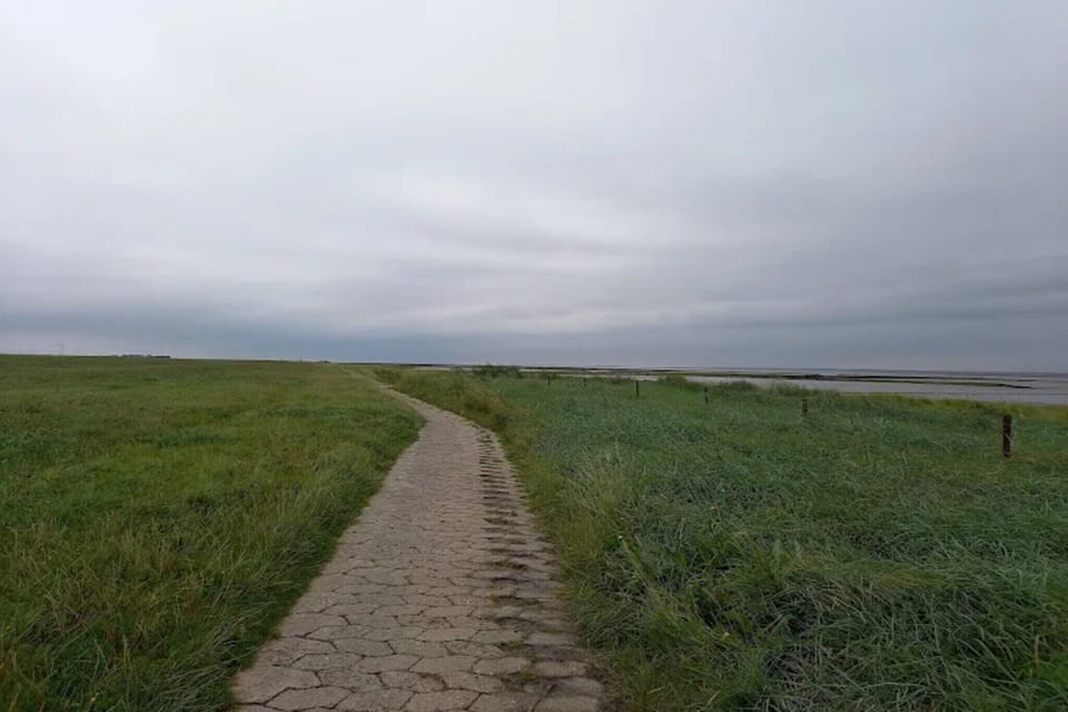 Surroundings [summer] (1-5 km)
