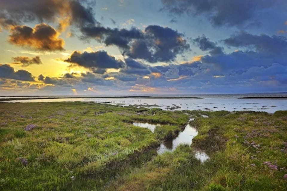 Surroundings [summer] (1-5 km)