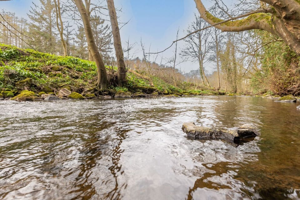 Riverside view along the tree-lined banks of Waren Burn