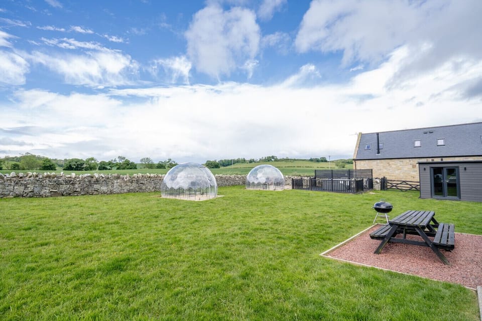 Communal paddock with dining dome, picnic bench and open skies