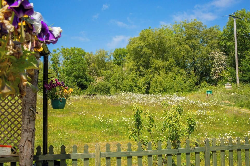 Picket fence and gate leading to wild flower meadow